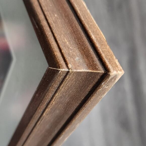 Thomas D. Mangelsen Collector Edition Print of Sandhill Cranes Images of Nature - Picture 15 of 15